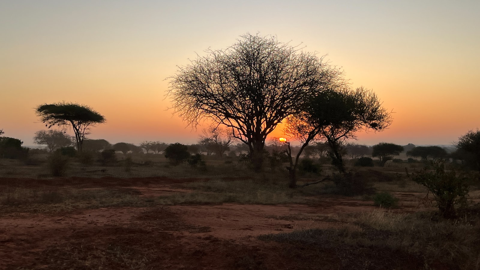 Sunrise over the East African savanna